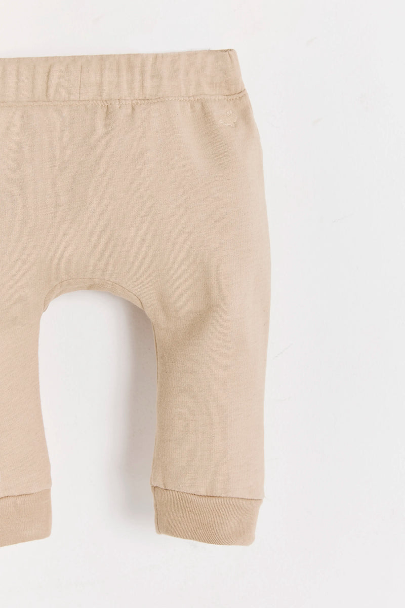 Jogger Thai Nut
