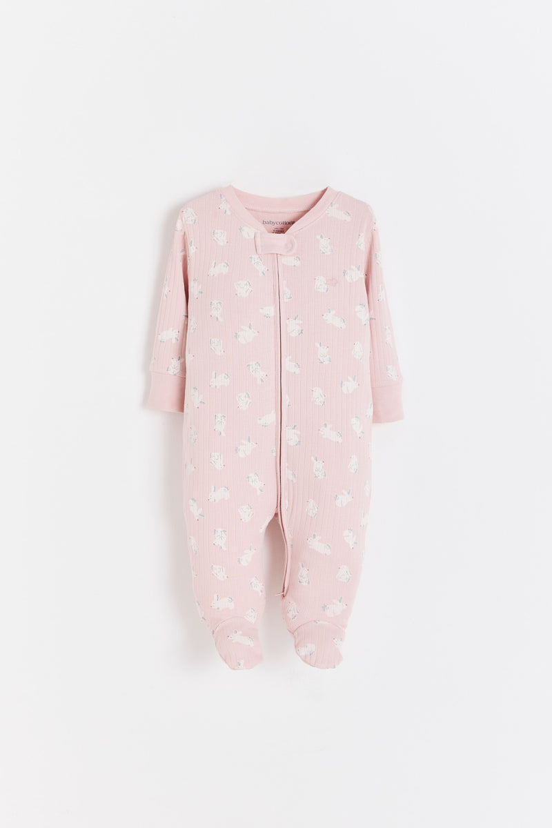 Enterito Jill Hoppers