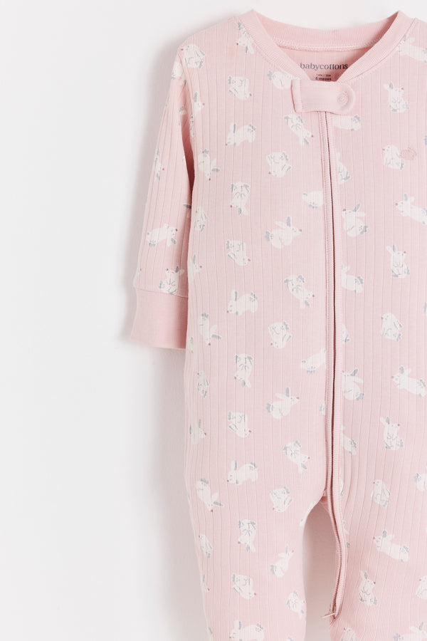 Enterito Jill Hoppers