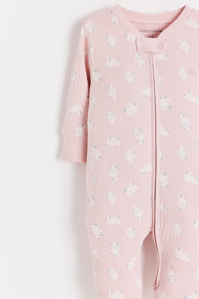 Enterito Jill Hoppers