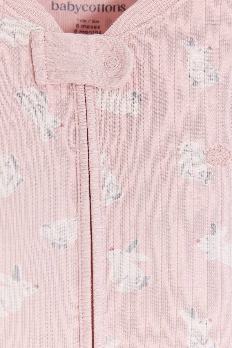 Enterito Jill Hoppers