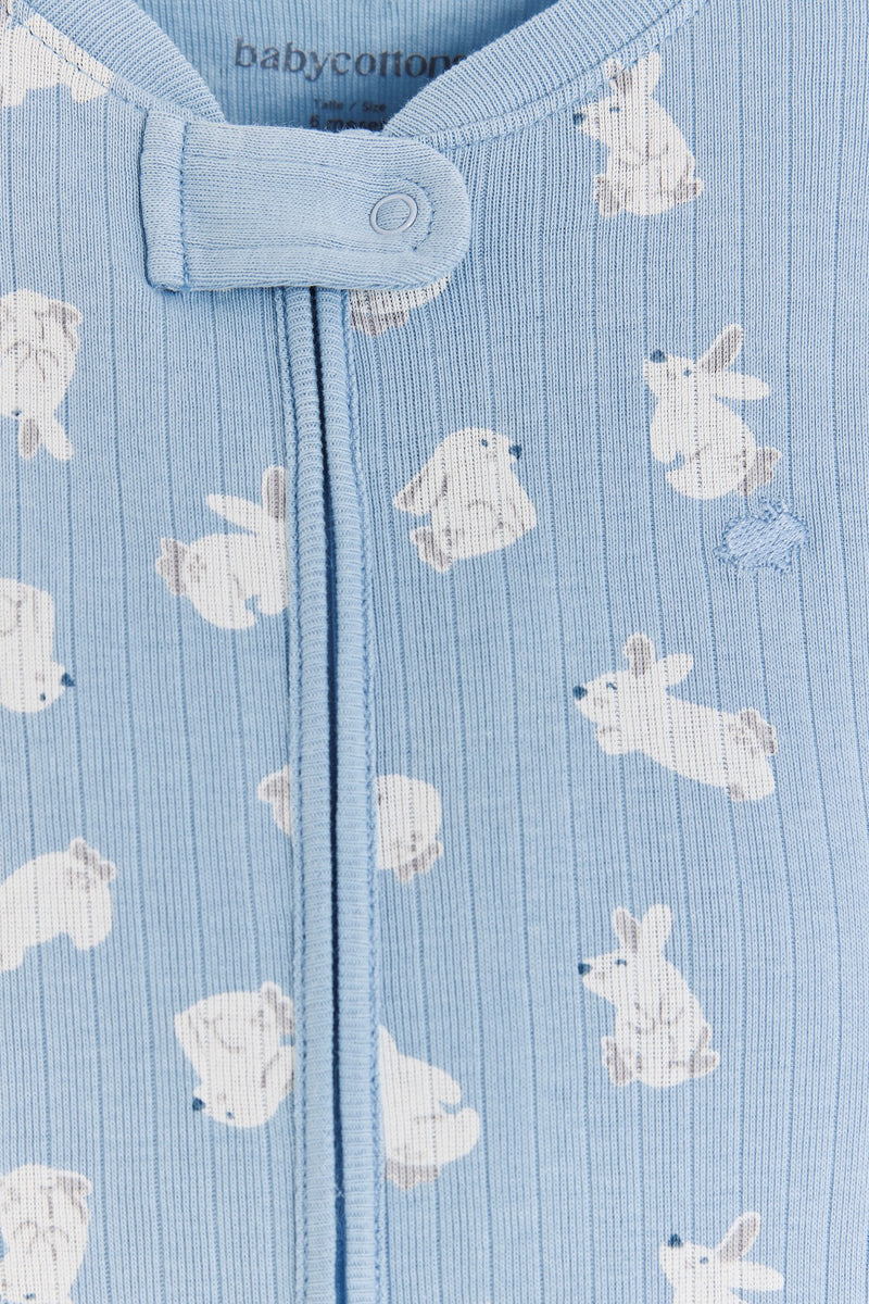 Enterito Jill Hoppers