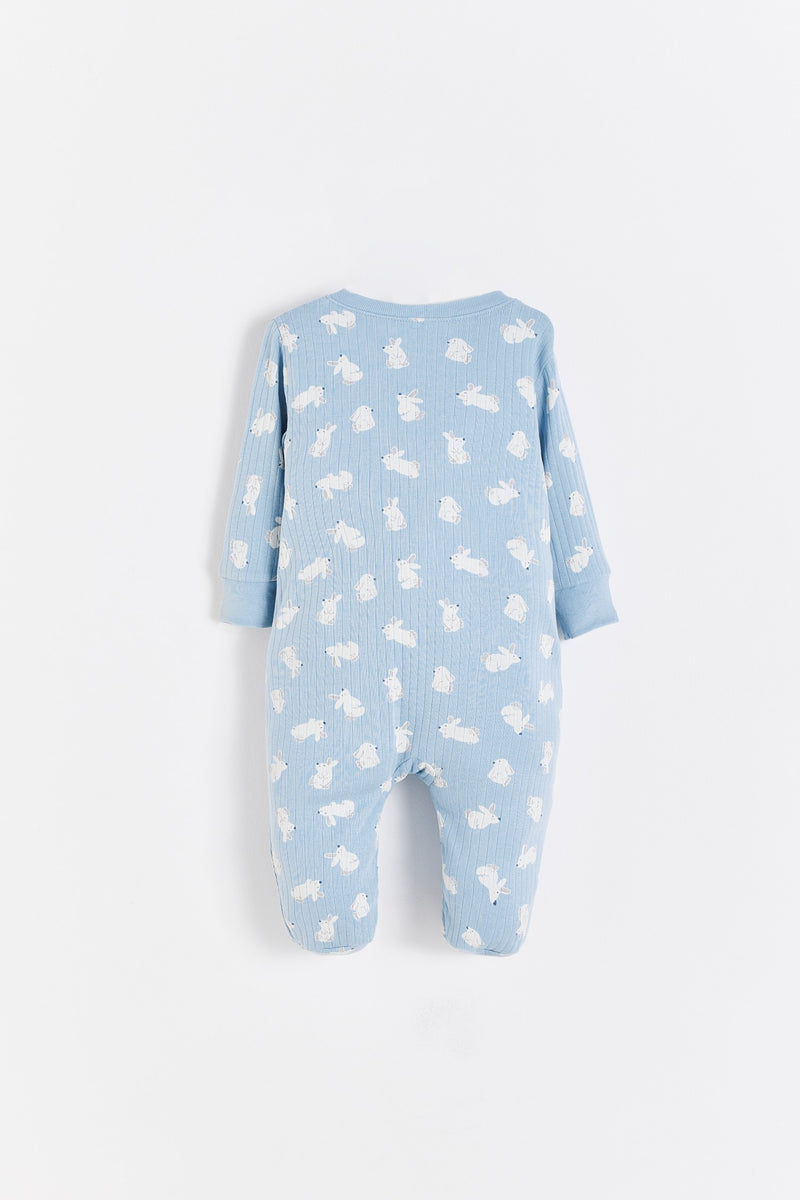 Enterito Jill Hoppers