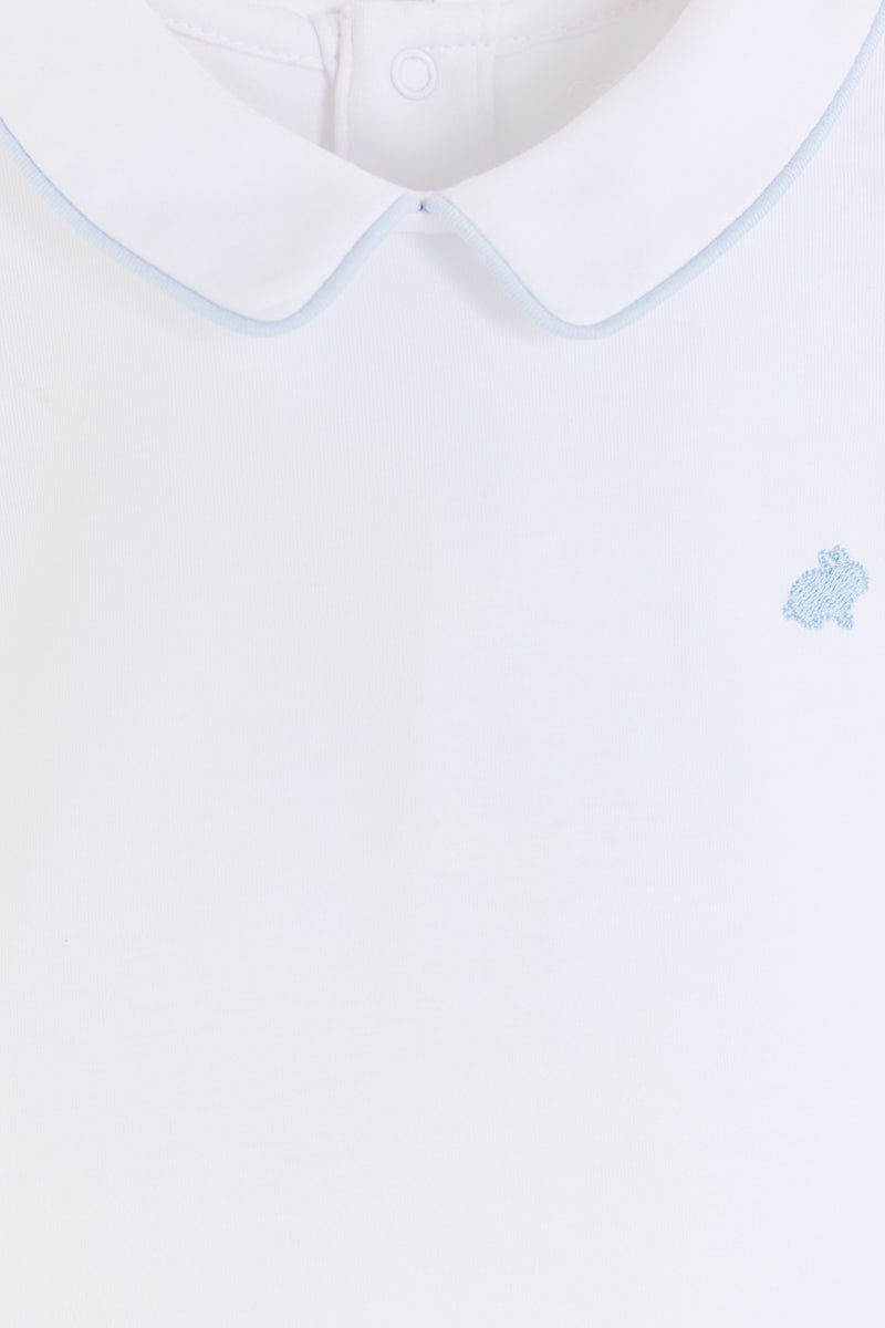 Body Dan Celebration