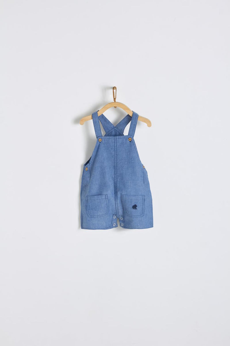 Shortall Tim Comfy