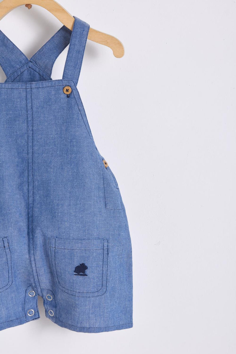 Shortall Tim Comfy