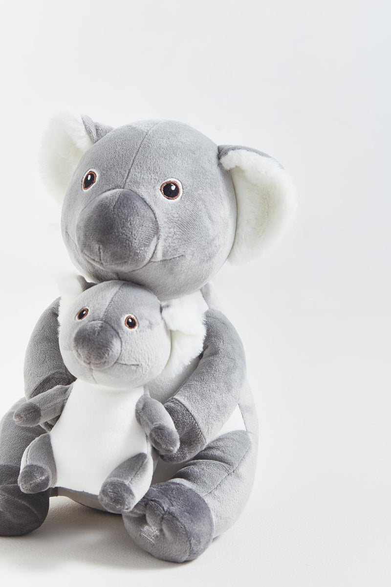Pet Koala